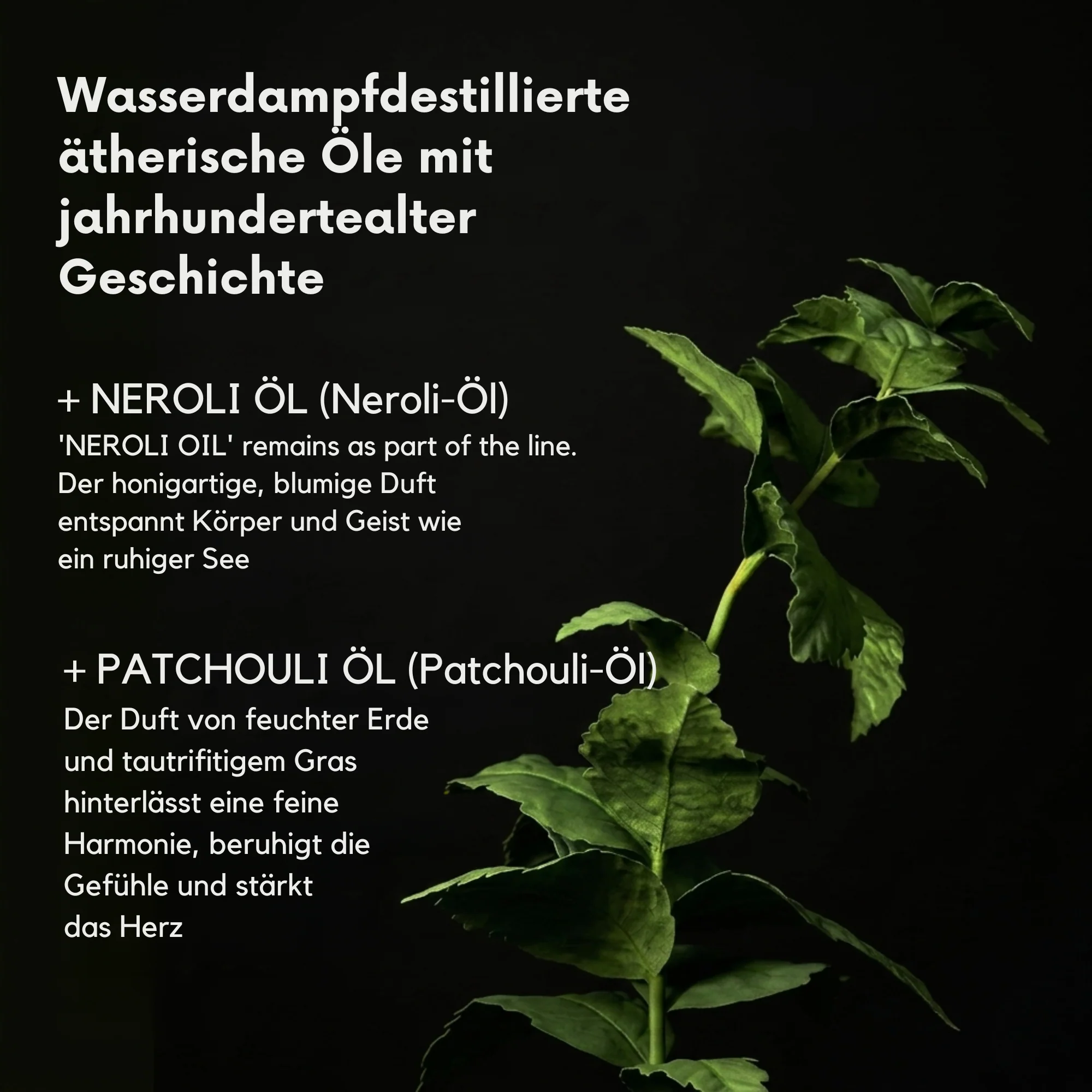 Produktbild 7
